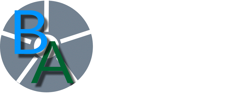 Brown Air LLC Logo